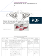 Vision Binocular