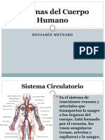 Sistemas Del Cuerpo Humano