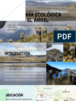 Reserva Ecológica El Ángel - 20240305 - 154306 - 0000
