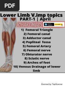LOWER LIMB ANATOMY L Johari MBBS