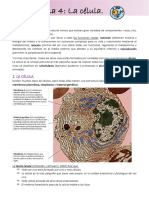 Tema 4. La Célula Bio y Geo