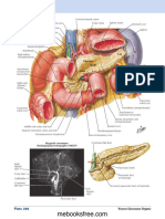 Pancreas_Netter’s Atlas of Human Anatomy-7ed English (2018) 3