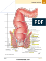 Anus_Netter’s Atlas of Human Anatomy-7ed English (2018)