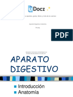 81 Aparato Digestivo 145481 Downloadable 2110948