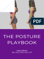 F2026ed 62f dc1b 1c4 Afe8b5a0e5da - The - Posture - Playbook