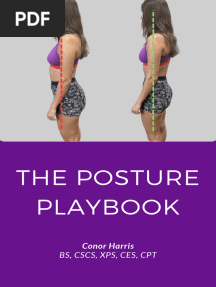 F2026ed 62f dc1b 1c4 Afe8b5a0e5da - The - Posture - Playbook