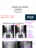 Radiologia Do Sistema Urinário