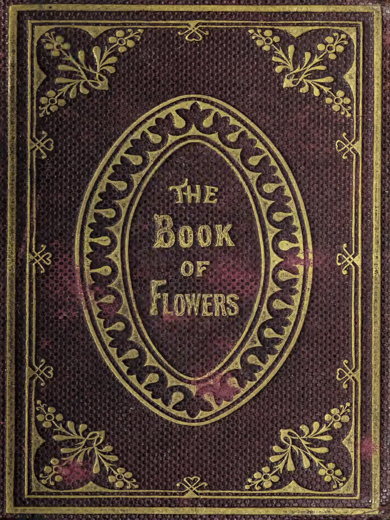 The Book Of Flowers Pdf Flowers Botany