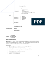 03 Obras y Medio Resumen