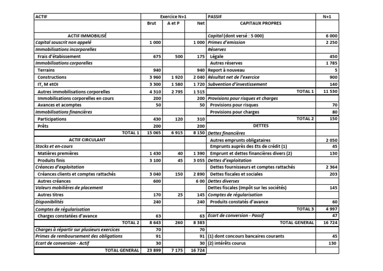 Bilan comptable N+1 détaillé | PDF | Prêts | Dettes