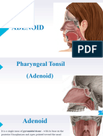 Adenoid 