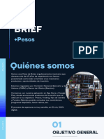 Finamex Brief Nuevo