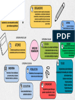 Mapa Mental Lluvia de Ideas Niveles de Organizacion - Diego Fiallos