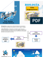 Ciclos Biogeoquimicos: Prof. Andrés Escapa Gamboa