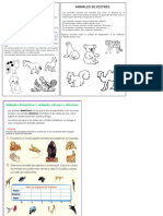 Los Animales Domésticos Y Silvestres