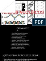 Ácidos Nucleicos Expo