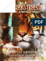 Manual Energía Tigre