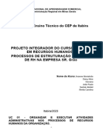 Relatório de Estruturação de RH - P.I