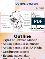 Conductive Tissue