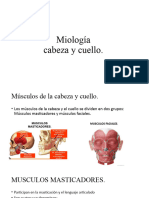 Miología Cabeza y Cuello (Autoguardado)