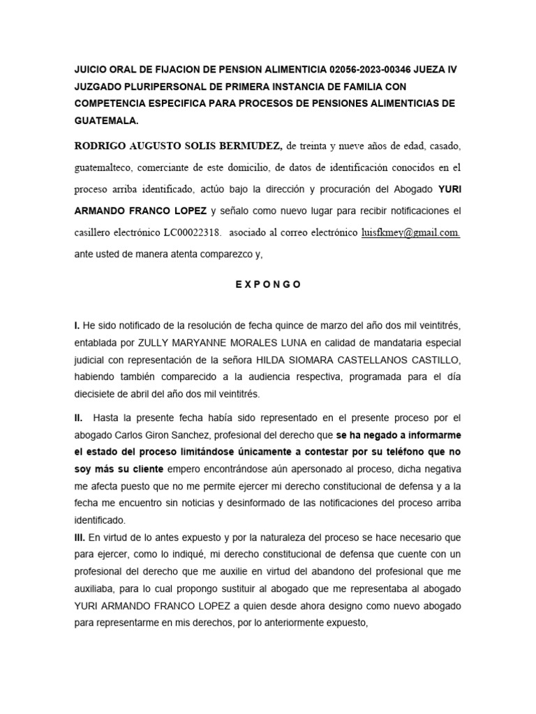 Oral de Alimentos Rodrigo Solis | PDF | Ley procesal | Gobierno