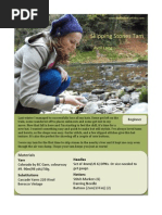 Download SkippingStonesTamAvrilLang by Avril Lang SN71259831 doc pdf