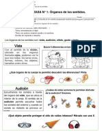 PRIMERO BASICO (GUIA Nº1) CIENCIA Los Sentidos Casino