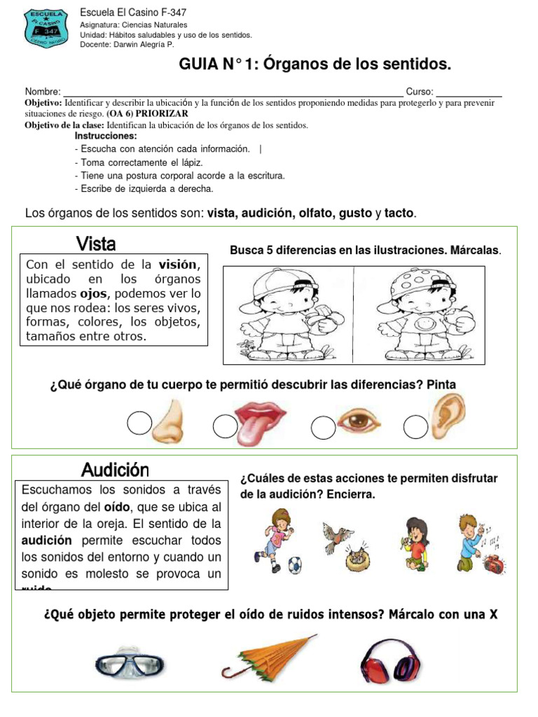 Actividades sobre los sentidos para niños | PDF | Gusto | Ciencia cognitiva