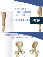 Anatomia Miembro Inferior Artrologia G