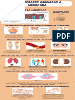 Enfermedades Asociadas A Membranacelular