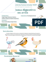 Exposición - U1 - G#7 - Vega, Velasco - Sistema Digestivo de Las Aves