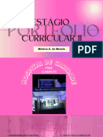 Portfólio Curricular II