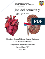 Informe CCNN