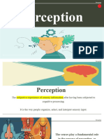 Perception (Visual Perception) XX