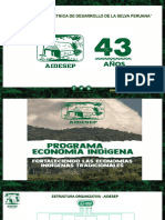 Proyecto Airr - Economía Indígena - Codepisam Frutiawajún