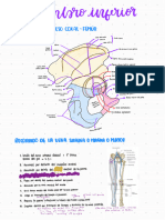 Semana 9 - Anatomía - 230711 - 000454