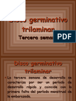 Disco Germinativo Trilaminar