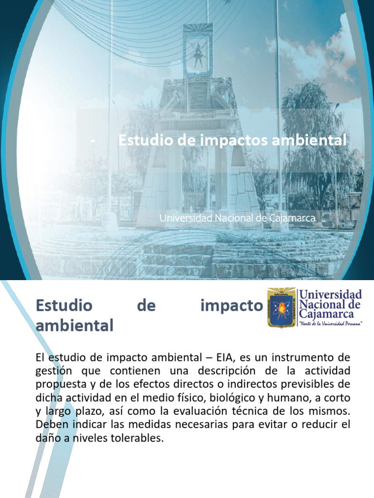 Estudio de Impacto Ambiental | PDF | Evaluación de impacto ambiental