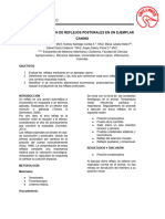 Informe 3 Fisio - Docx-1