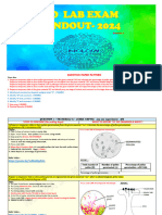 Ii Pu Bio Lab Exam 24 F - 240107 - 112213