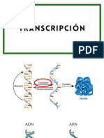 Transcripción Del ARN