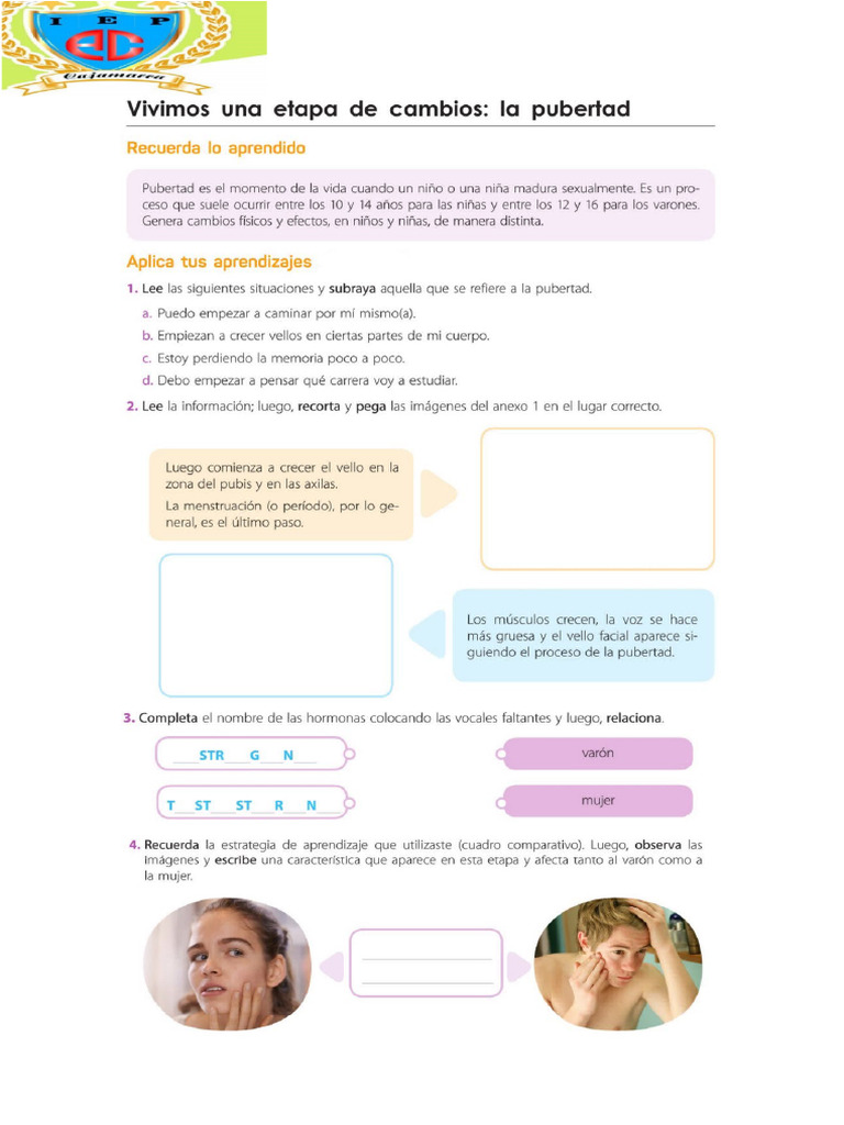 Cambios en La Pubertad Lectura Desarrollo | PDF