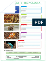 Ficha Ciencia y Tecnología