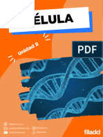 Guia Teorica Unidad 2 y Mapa Conceptual