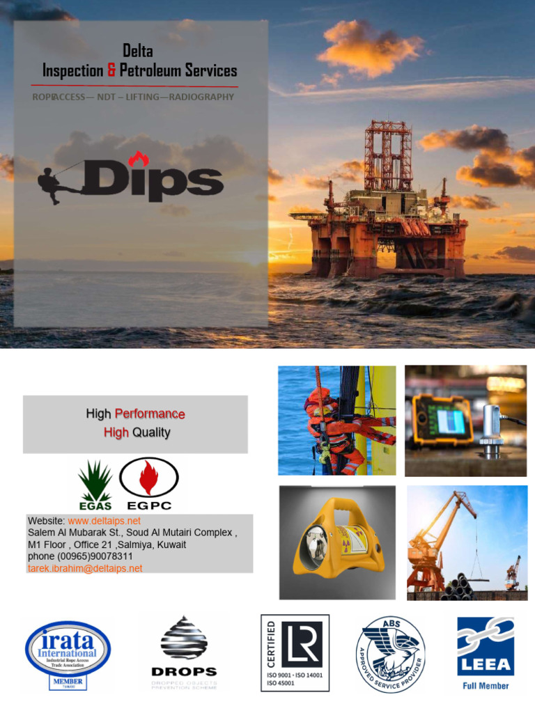 Dips Profilee | PDF | Nondestructive Testing | Radiography