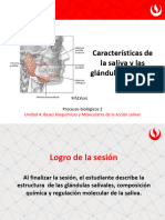 PB2 - PPT Te19 PDF
