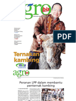 Penternakan Kambing Agrobiz