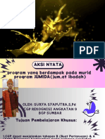 PGP 9 3.3 Aksinyata