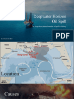 Deepwater Horizon Oil Spill