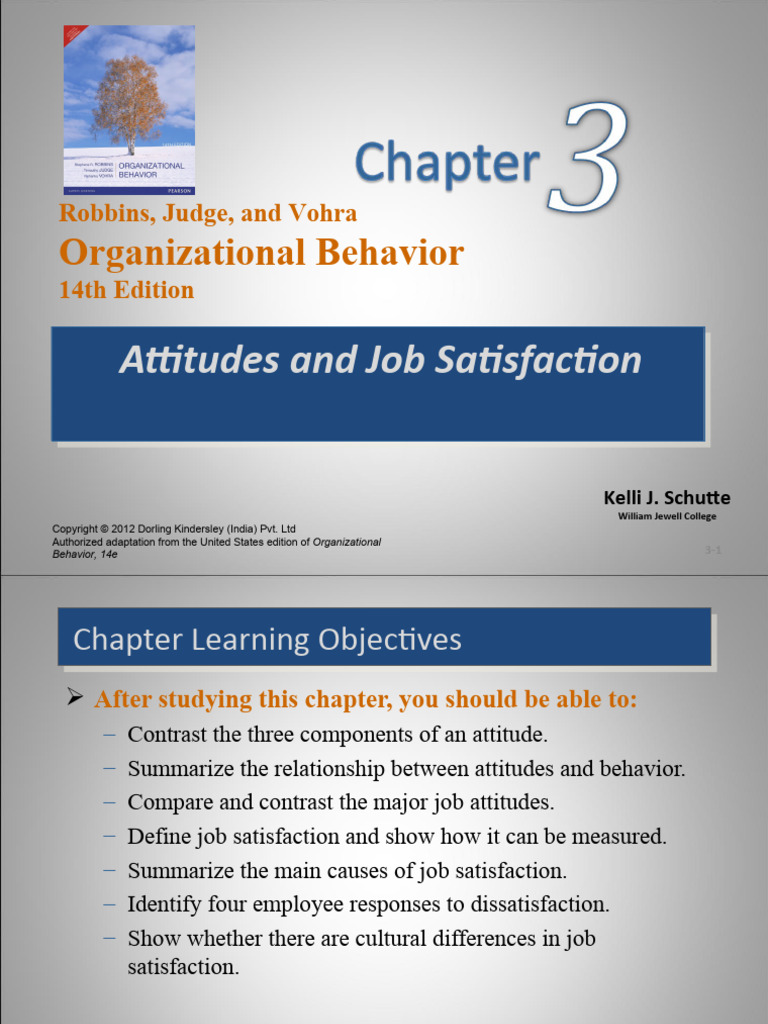 Organizational Behavior: Attitudes and Job Satisfaction | PDF | Job ...